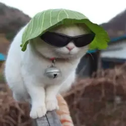 Julia's avatar